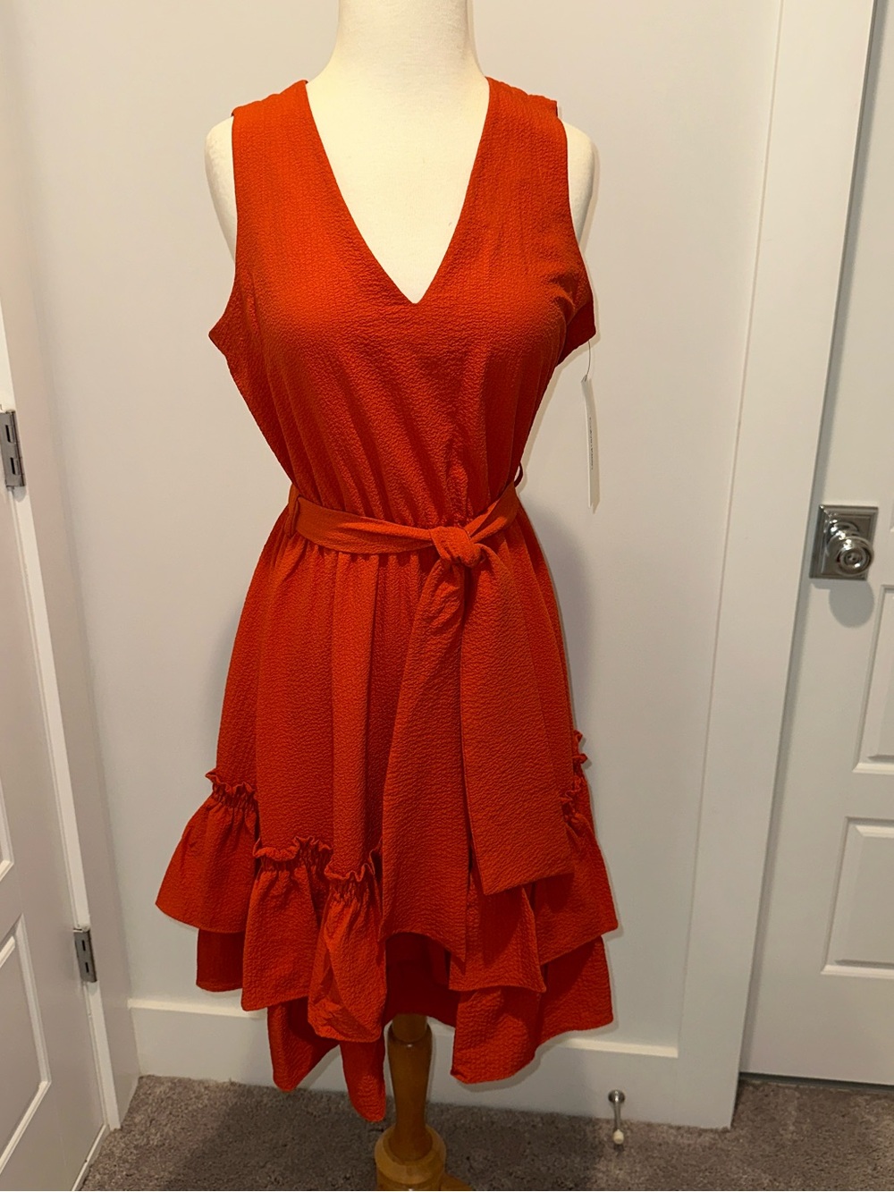 Calvin Klein Sleeveless V-Neck Ruffle Belted Dress in Rust Size 6